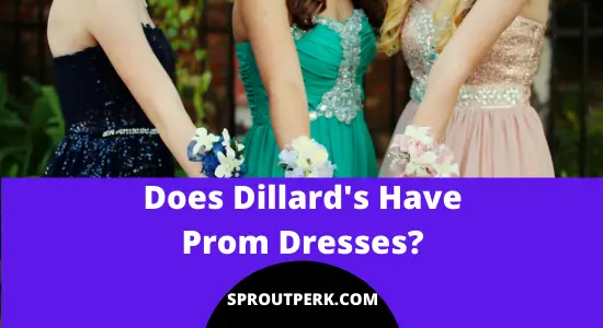 Does Dillard's Have Prom Dresses? (All You Need to Know)