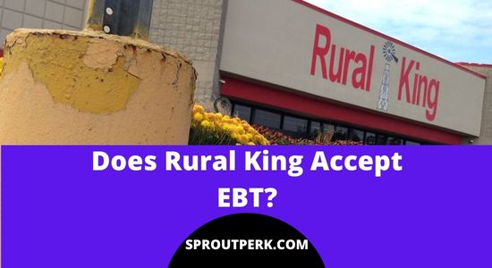 does-rural-king-accept-ebt-in-2023-3-best-tips